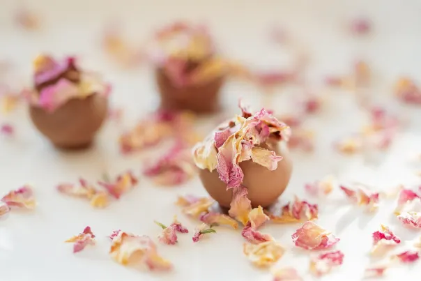 جوكر بيت كازينو تطبيق أندرويد/آي أو إس